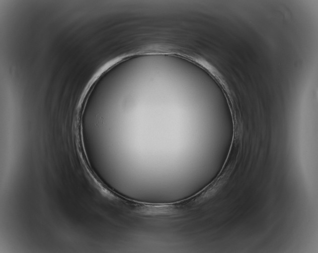 X0000086301486200704131559