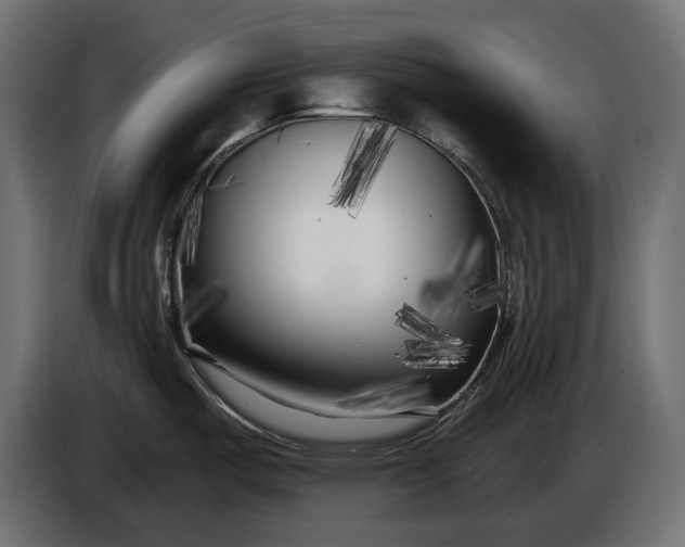 X0000086301487200704131559