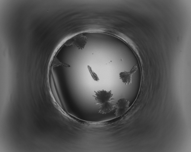 X0000086301488200704131558