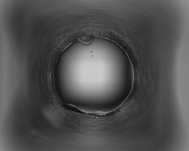 X0000086301489200704131558