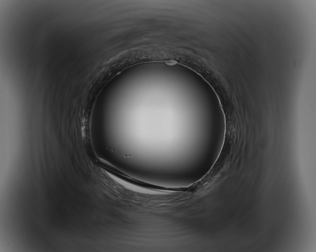 X0000086301490200704131558