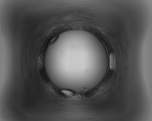 X0000086301491200704131558