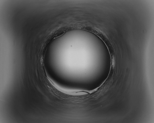 X0000086301492200704131558