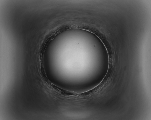 X0000086301493200704131558