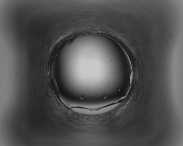 X0000086301494200704131558