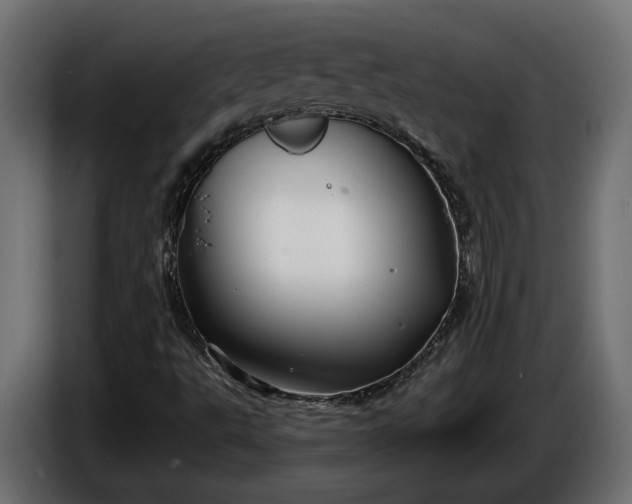 X0000086301495200704131558