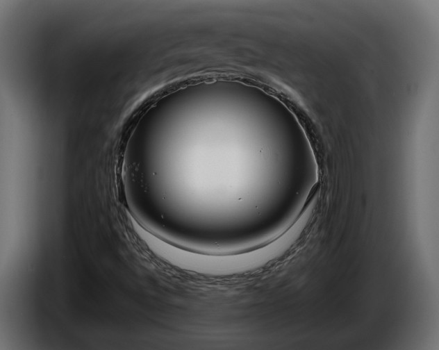 X0000086301496200704131558