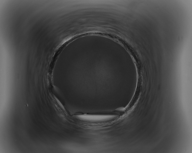 X0000086301497200704131558