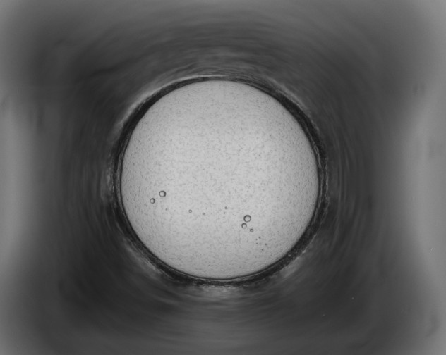 X0000086301498200704131558