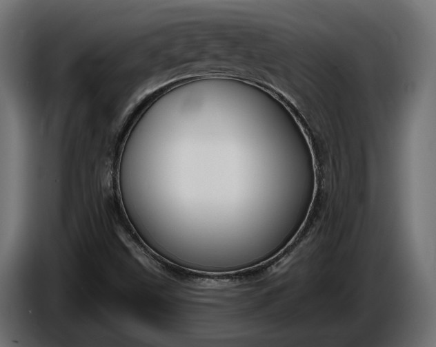 X0000086301499200704131558