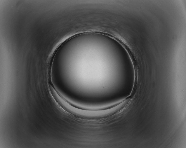 X0000086301500200704131558