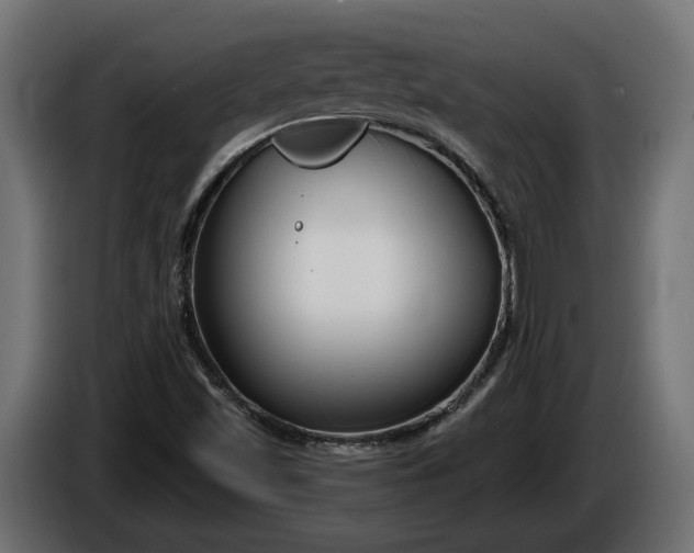 X0000086301501200704131558