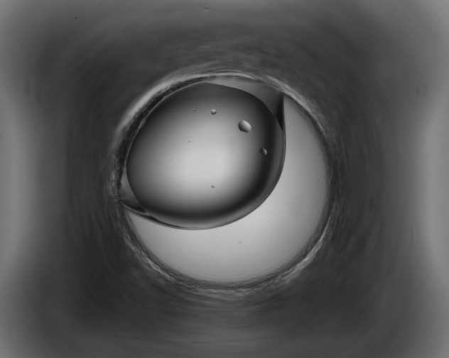 X0000086301502200704131558