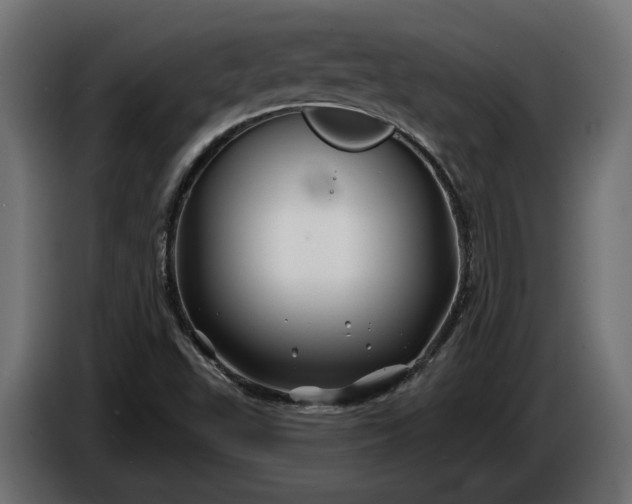 X0000086301503200704131558