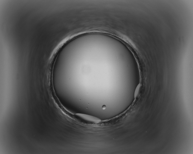 X0000086301504200704131558