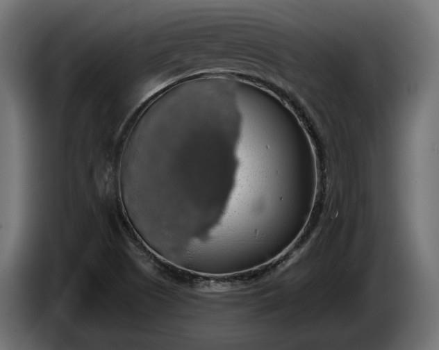 X0000086301505200704131558