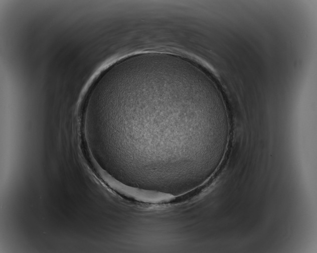 X0000086301506200704131558