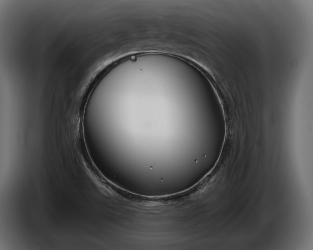 X0000086301507200704131558