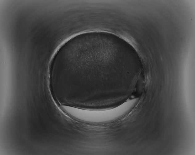 X0000086301508200704131558