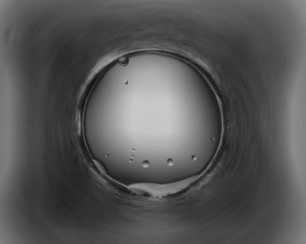 X0000086301509200704131558