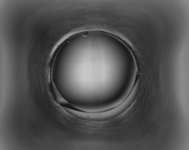 X0000086301510200704131558