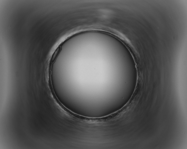 X0000086301512200704131558