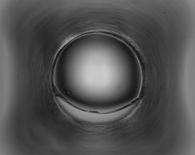 X0000086301513200704131558