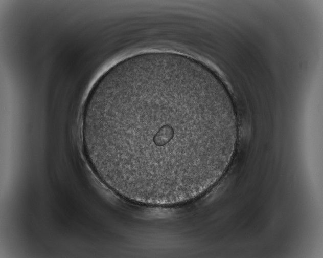 X0000086301514200704131558