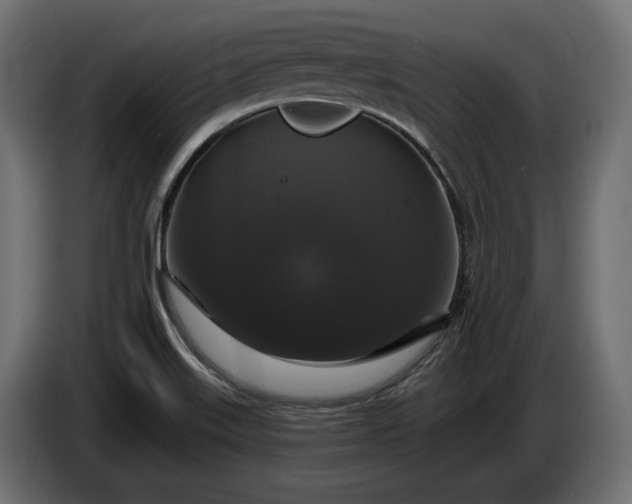 X0000086301515200704131558