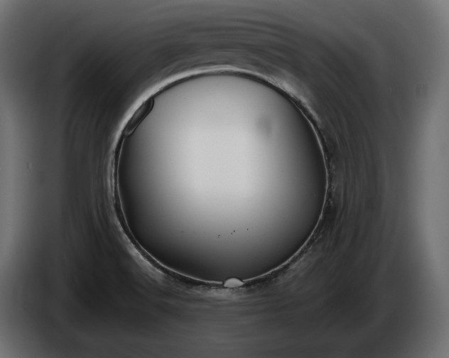 X0000086301516200704131558