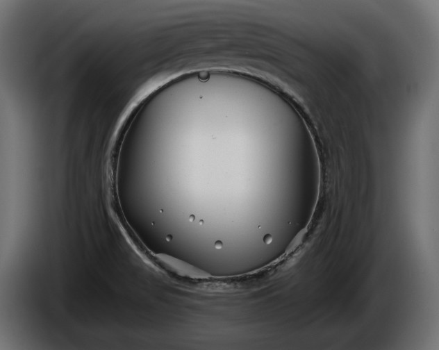 X0000086301517200704131558