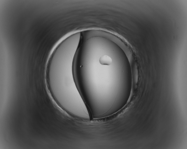 X0000086301518200704131558