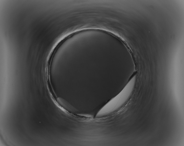 X0000086301519200704131558