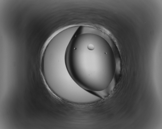 X0000086301520200704131558