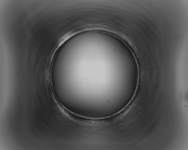 X0000086301521200704131558