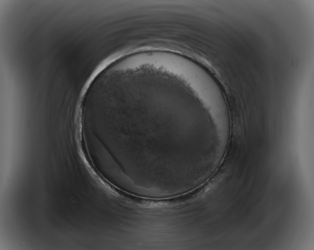 X0000086301522200704131558