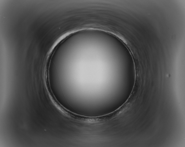 X0000086301523200704131558