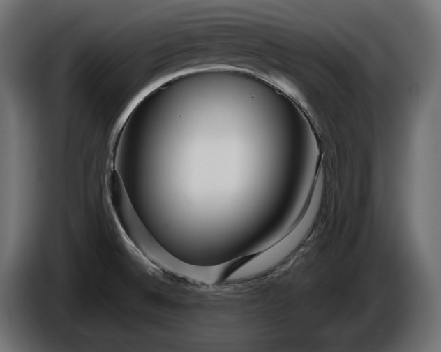 X0000086301524200704131558