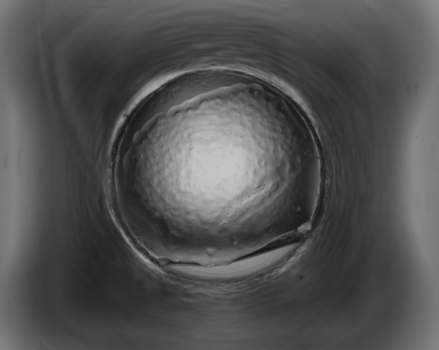 X0000086301525200704131558