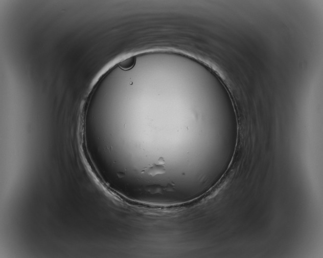 X0000086301526200704131558