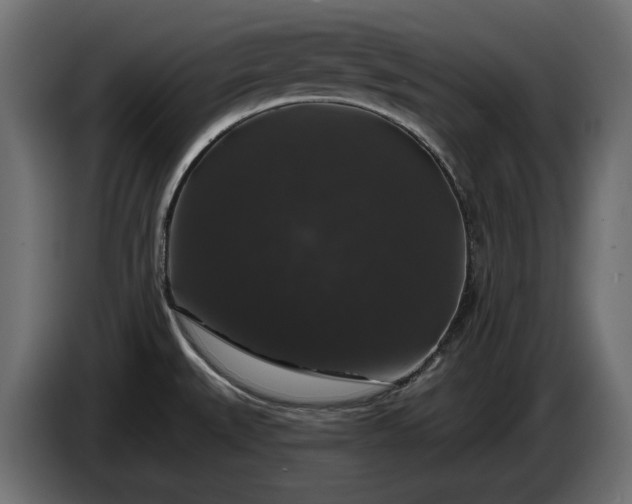 X0000086301527200704131558