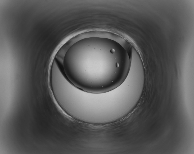 X0000086301528200704131558