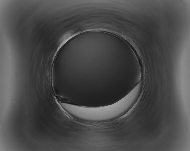 X0000086301529200704131558