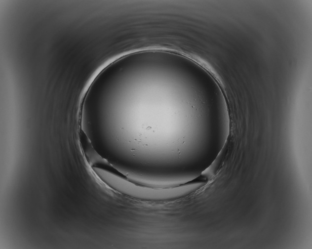 X0000086301532200704131558