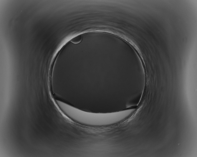 X0000086301533200704131558