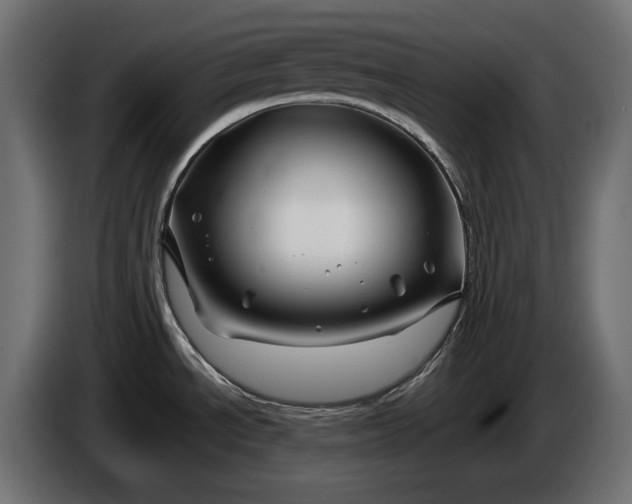 X0000086301534200704131558