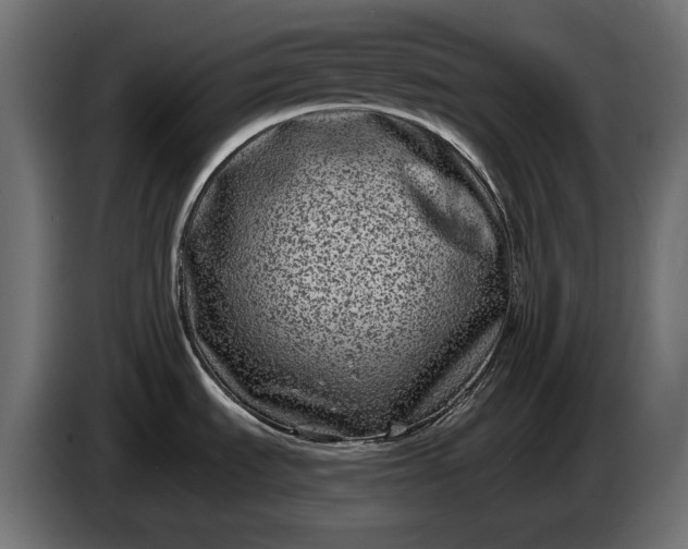 X0000086301535200704131558