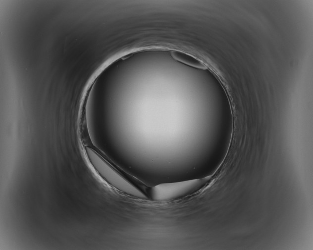 X0000086301536200704131558