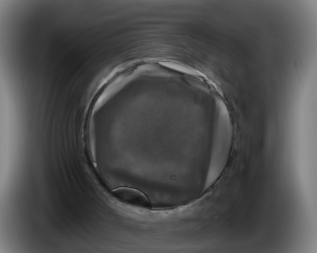 X0000086300002200704201951