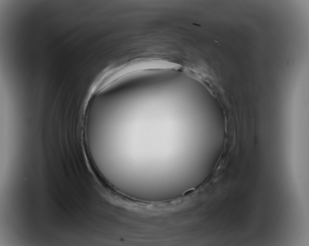 X0000086300003200704201951